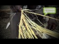 How To Make Coconut Broom Solomon Island Style