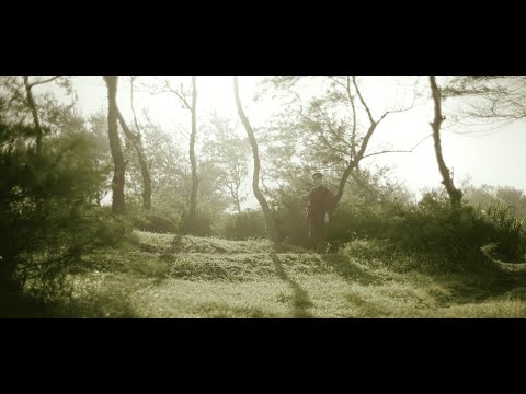 Insomniacks - ⁠Temani Hati (Official Lyric Video)