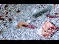 ISHQ NA KARNA ISHQ NA KARNA Full Video Phir Bewafai Agam Kumar Nigam Tulsi Kumar