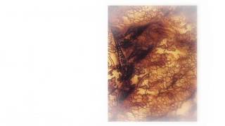 STREISAND - &quot;EVERYTHING MUST CHANGE&quot; - Higher Ground album