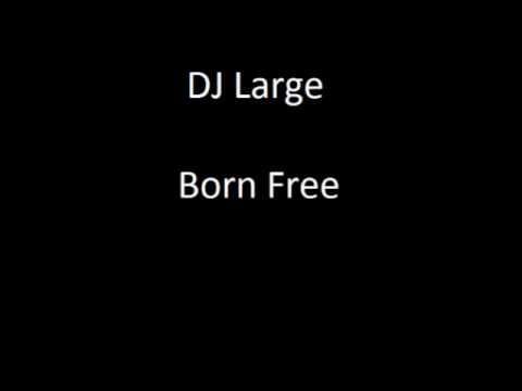 Fight Beats: Dj Large-Born Free