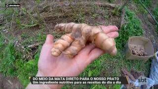 Miniatura do vídeo