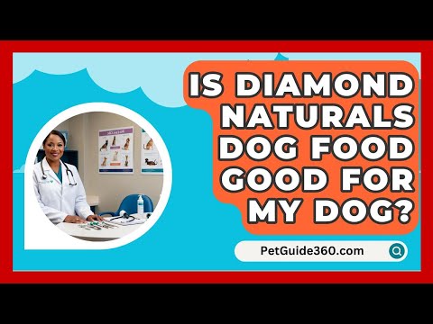 Is Diamond Naturals Dog Food Good for My Dog? - PetGuide360.com