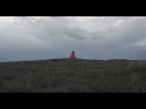 Post Pines - I Guess (Official Music Video)