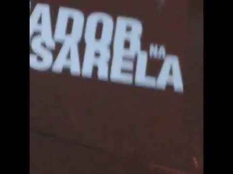 Ditador na Passarela do Samba! Coletivo Projetação - Beija-Flor homenageia ditadura