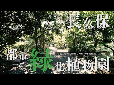 【辻堂】長久保公園都市緑化植物園-Nagakubo Park Urban Greenery Botanical Garden-【散策】