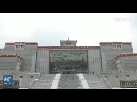 A glimpse at Tibetan medicine