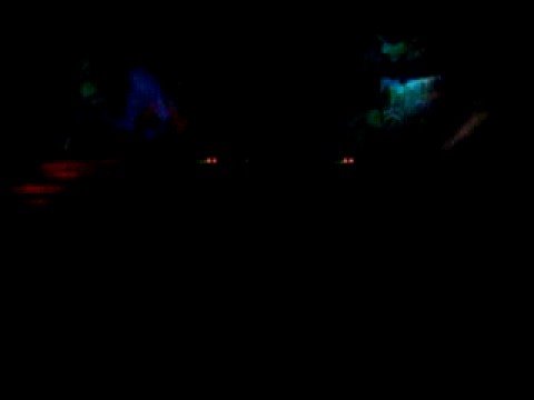 a  noite do cachorro doido