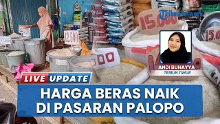 Harga Beras Naik Rp3 Ribu per Kg di Palopo, Warga Menengah Bawah Terdampak Sejak Sebulan Terakhir