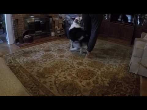 School's In Session — Leena Girl WEAVES