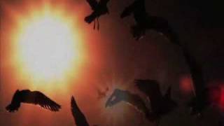 Zmelkoow - Čau sonček