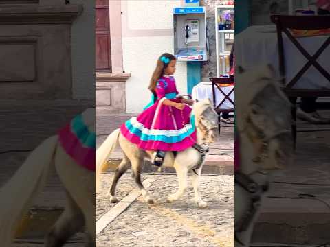 ¡Jinete en miniatura! ¡Prodigio de la equitación! Little Girl Competing with little Horse.