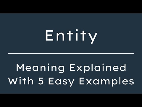 What Does Entity Mean?  Entity Meaning in English With 5 Example Sentences