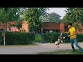 Dog Status Dog Whatsapp Status Dog Playing Song