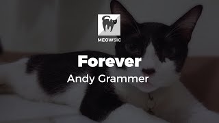Forever - Andy Grammer (Lyrics)
