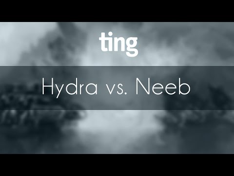Hydra vs. Neeb [FIXED] - ZvP - TING Open #2 Ro16 NA Group