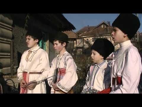 plugusor la starchiojd