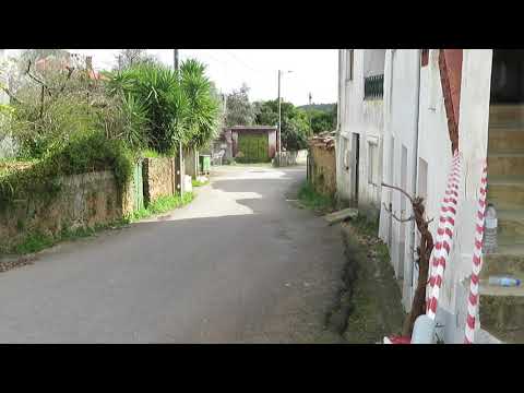 Toyota Starlet 4AGE Itb Sound