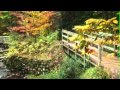 The Land of Plenty - Ленард Коен