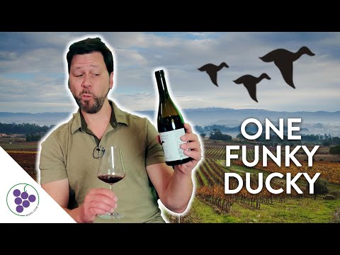 That's one funky duck! Tasting Baga wine from Portugal's Luis Pato