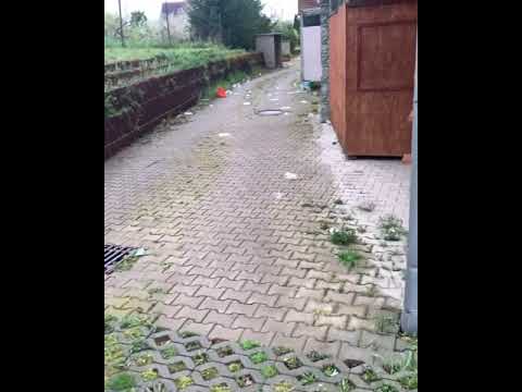 RICHARD GENZER | KDYŽ NECHÁTE KOŠ NA ODPADKY PŘES NOC VENKU