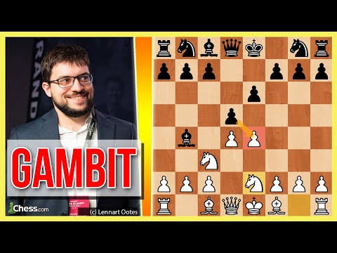 Winning with the Alekhine-Maróczy Gambit
