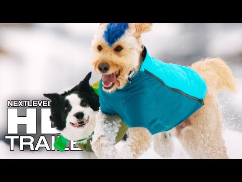 THE PACK Season 1 Official Trailer (2020)