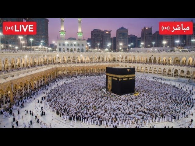 Shakeel Quranic Official 