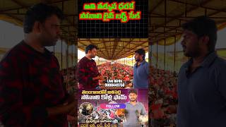 Biggest Sonali chicken farm in telangana #shorts #sonalibirds #sonalichicks #sonalibirdssale