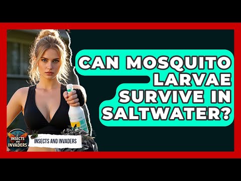 Can Mosquito Larvae Survive In Saltwater? - Insects and Invaders