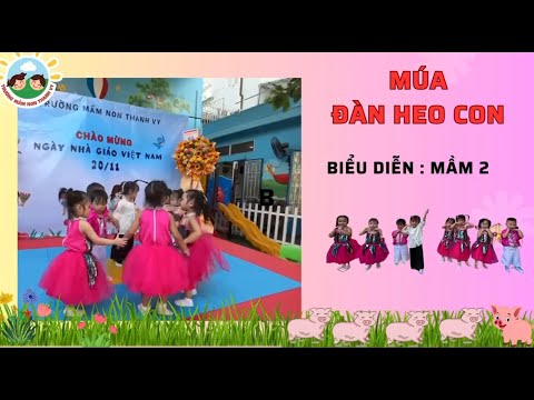 Đàn heo con 20-11-2024