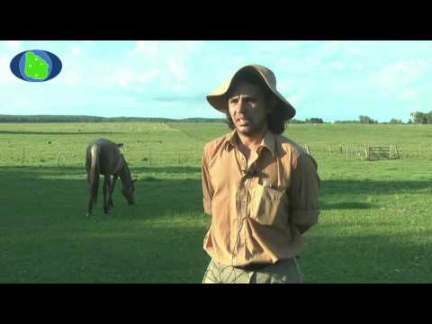 Alvaro Olveira, Paso Ataques, Rivera.