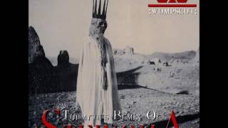 Wumpscut - Steinoma (Turmyte Remix)