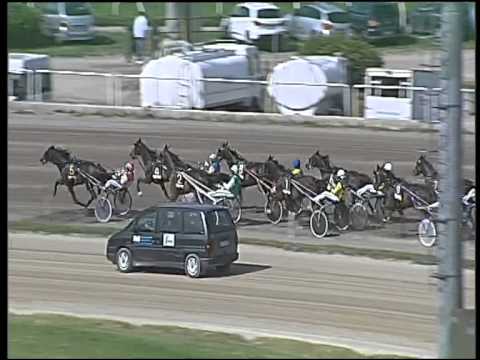 trotto 02/05/2015 - 3° corsa