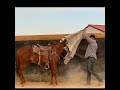 Thumbnail image 4