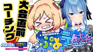 【 ぷよテト２】教えてすいちゃん！！大会直前１時間コーチング【アキ・ローゼンタール/ホロライブ】