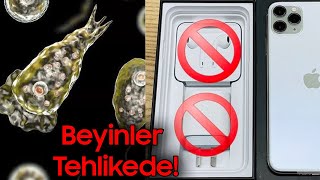 BEYİN YİYEN AMİP ORTAYA ÇIKTI, APPLE ŞARJ CİHAZLARINI KALDIRIYOR! - Te