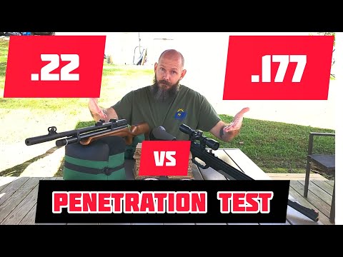 Does Caliber Really Matter? .177 vs .22 Air Rifle Penetration Test