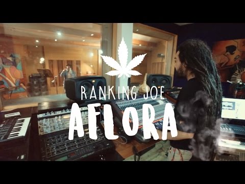 AFLORA - No Más Guerra Ft. Ranking Joe [Official Video]