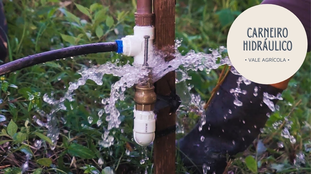 CARNEIRO HIDRÁULICO | Sistema barato pra jogar água de baixo pra cima sem energia elétrica
