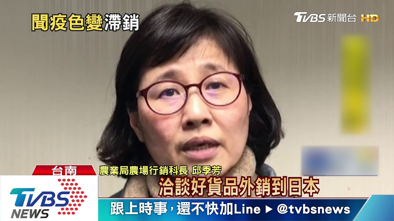 疫情衝擊!鳳梨外銷掉2成 雞冠花外銷掛零