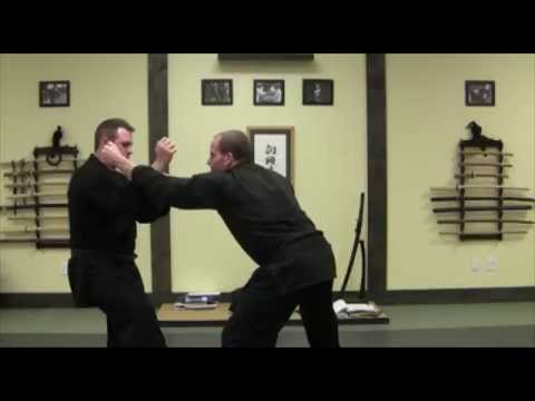 Katamaki (片巻) “Single Wrap” |  Koto Ryu Koppojutsu (虎倒流骨法術)