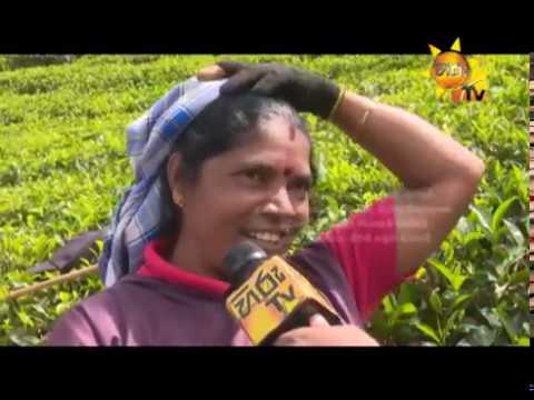Hiru TV