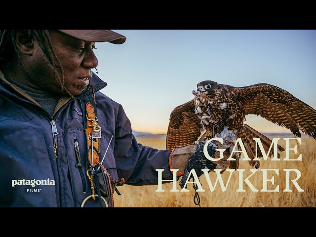 Vídeo relacionado con Falconer Advertencia Cetrería Gamehawking Ornitólogo Hawker Camiseta