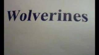 Wolverines - 65 Roses