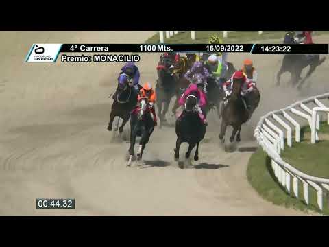 220916 c04 - MI SECRETO - HIPODROMO LAS PIEDRAS