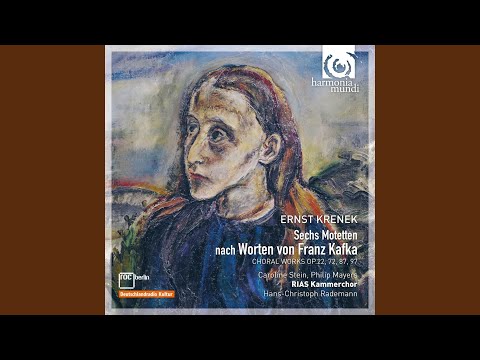 Drei gemischte A-Cappella-Chöre, Op. 22: I. Der Mensch