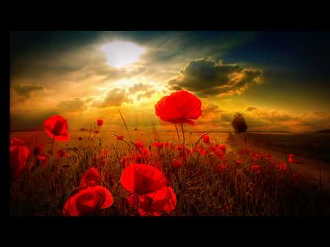 Amistad con dios  Capitulo 5 y 6 Audiolibro