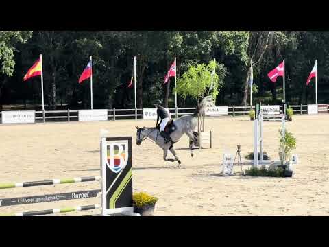 Showvideo