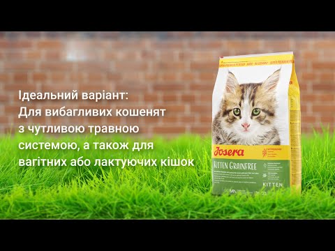 Сухой корм для котят Josera KITTEN grainfree беззерновой 2 кг - фото 1 - id-p1856518941